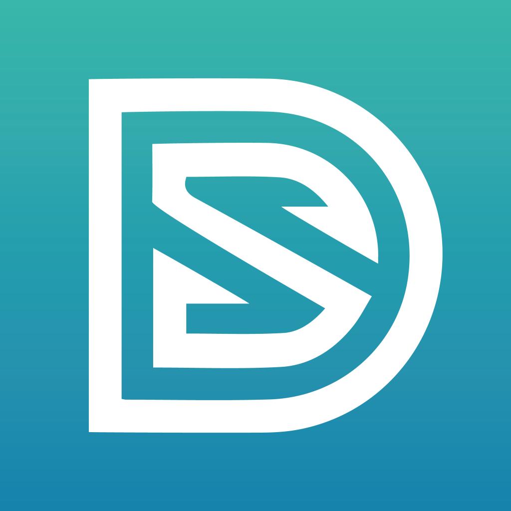 Logo agence DigitalSeine - Freelance Web & Marketing Digital