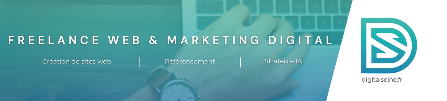 Couverture de l'agence DigitalSeine - Freelance Web & Marketing Digital