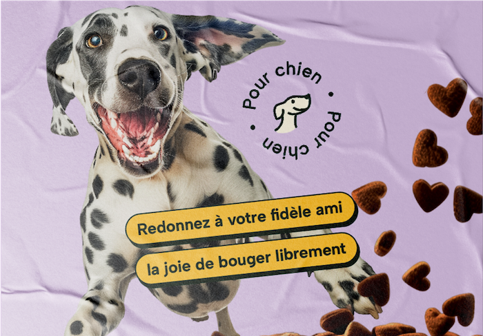 Illustration du projet Projet Vitamii X Hyperealist - Création de marque