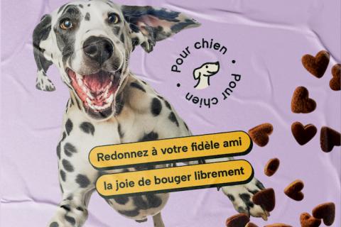 Illustration du projet