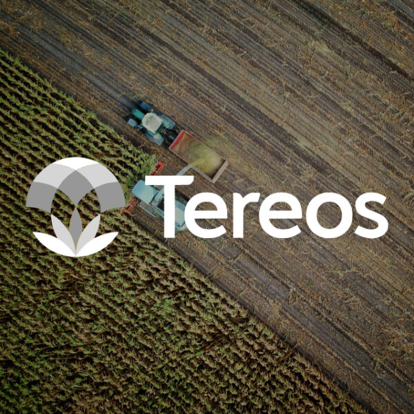 Illustration du projet TEREOS