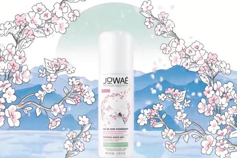 Illustration du projet