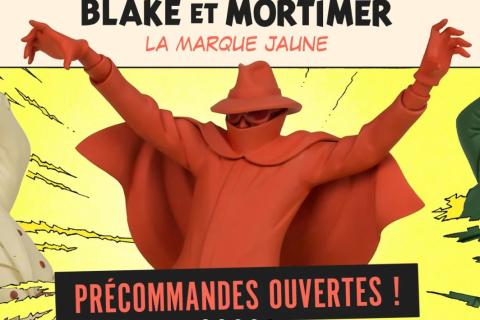 Illustration du projet