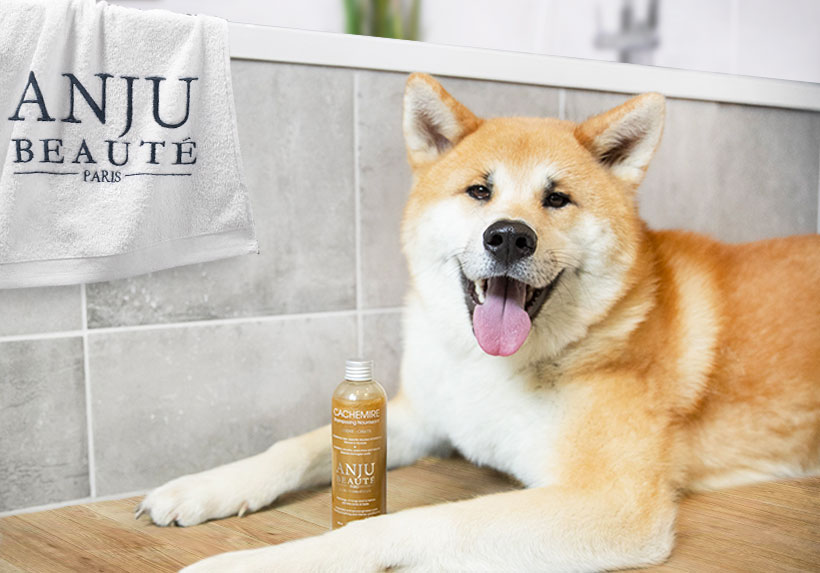 Illustration du projet Refonte complète du site e-commerce Anju Beauté