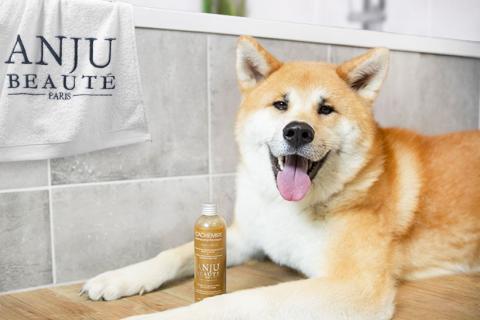 Illustration du projet