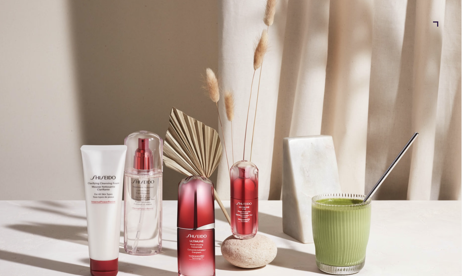 Illustration du projet Shiseido - Plateforme de génération de guidelines 