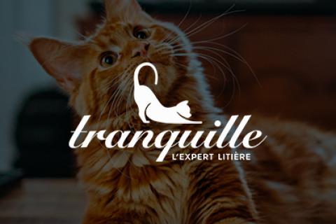 Illustration du projet