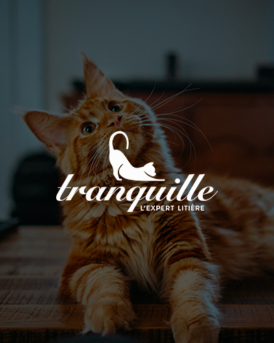 Illustration du projet Refonte d'une boutique en ligne moderne pour Litière Tranquille