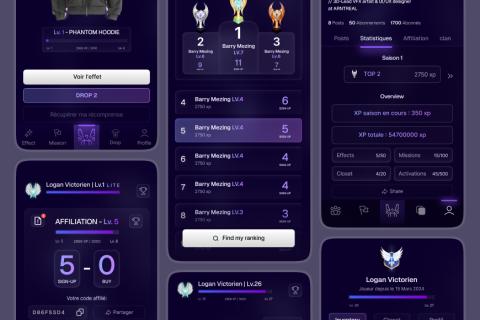 Illustration du projet