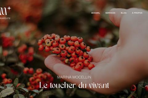 Illustration du projet