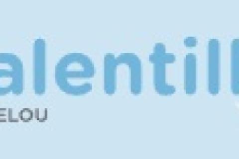 Illustration du projet