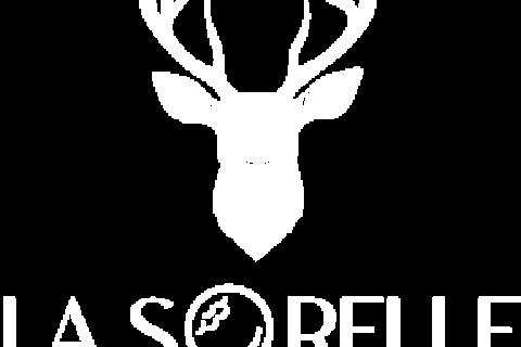 Illustration du projet