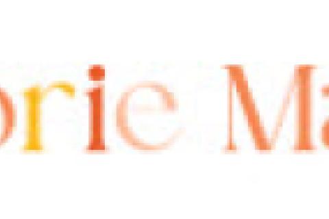 Illustration du projet