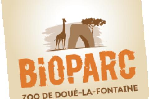 Illustration du projet