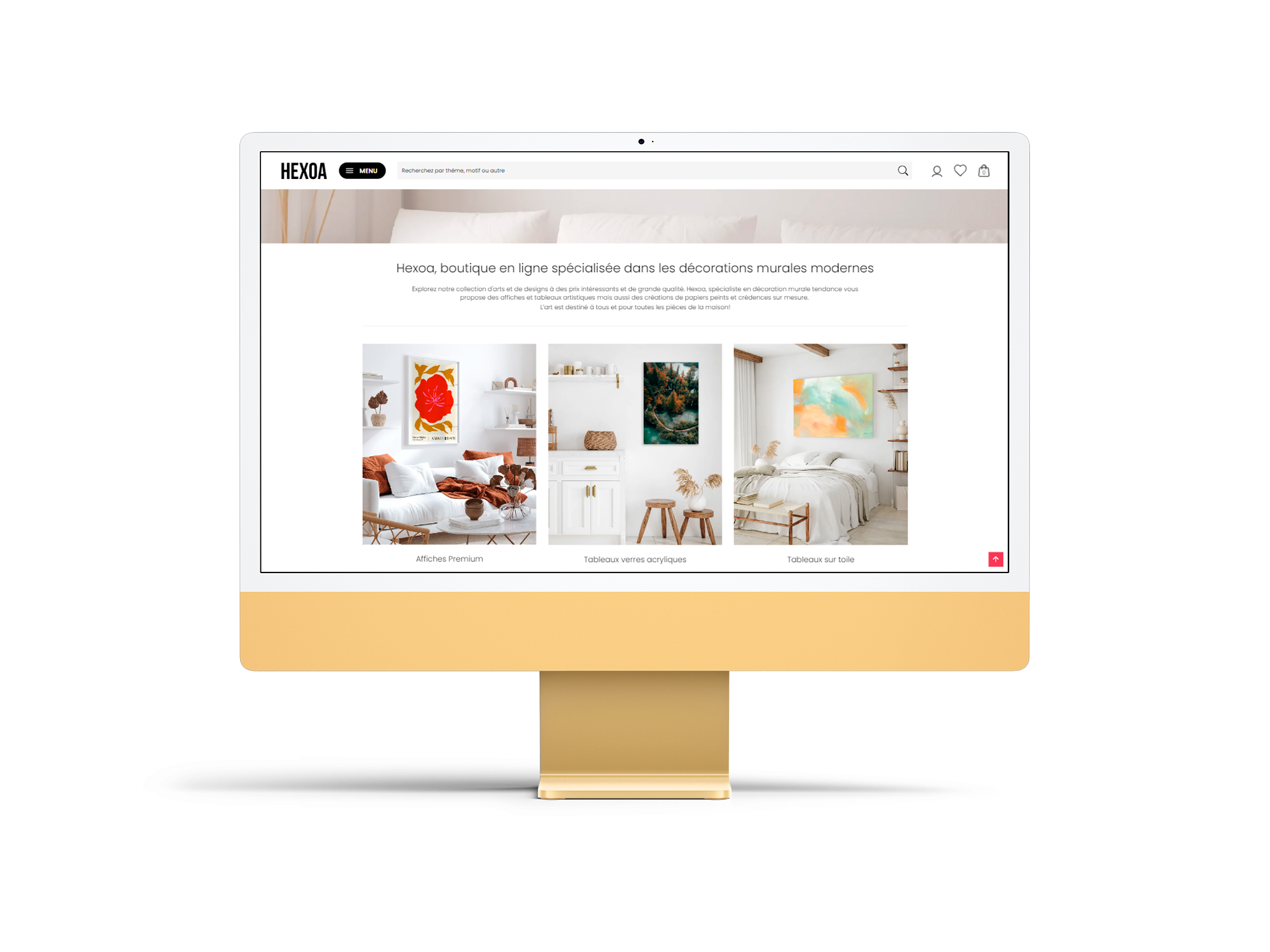 Illustration du projet Site e-commerce pour Hexoa