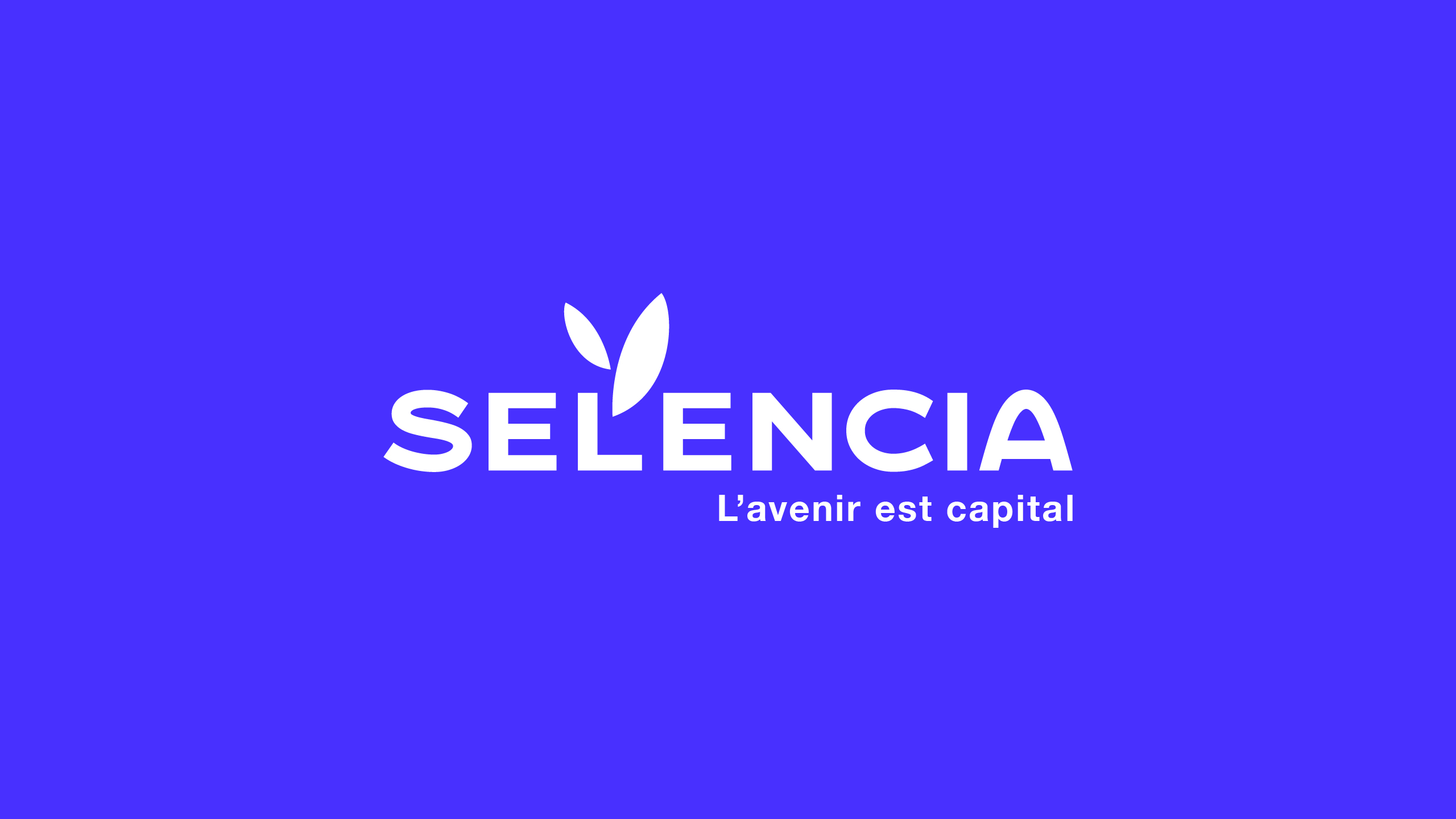 Illustration du projet Selencia (Groupe Carac) : rebranding global, plateforme de marque, identité visuelle, territoire de communication