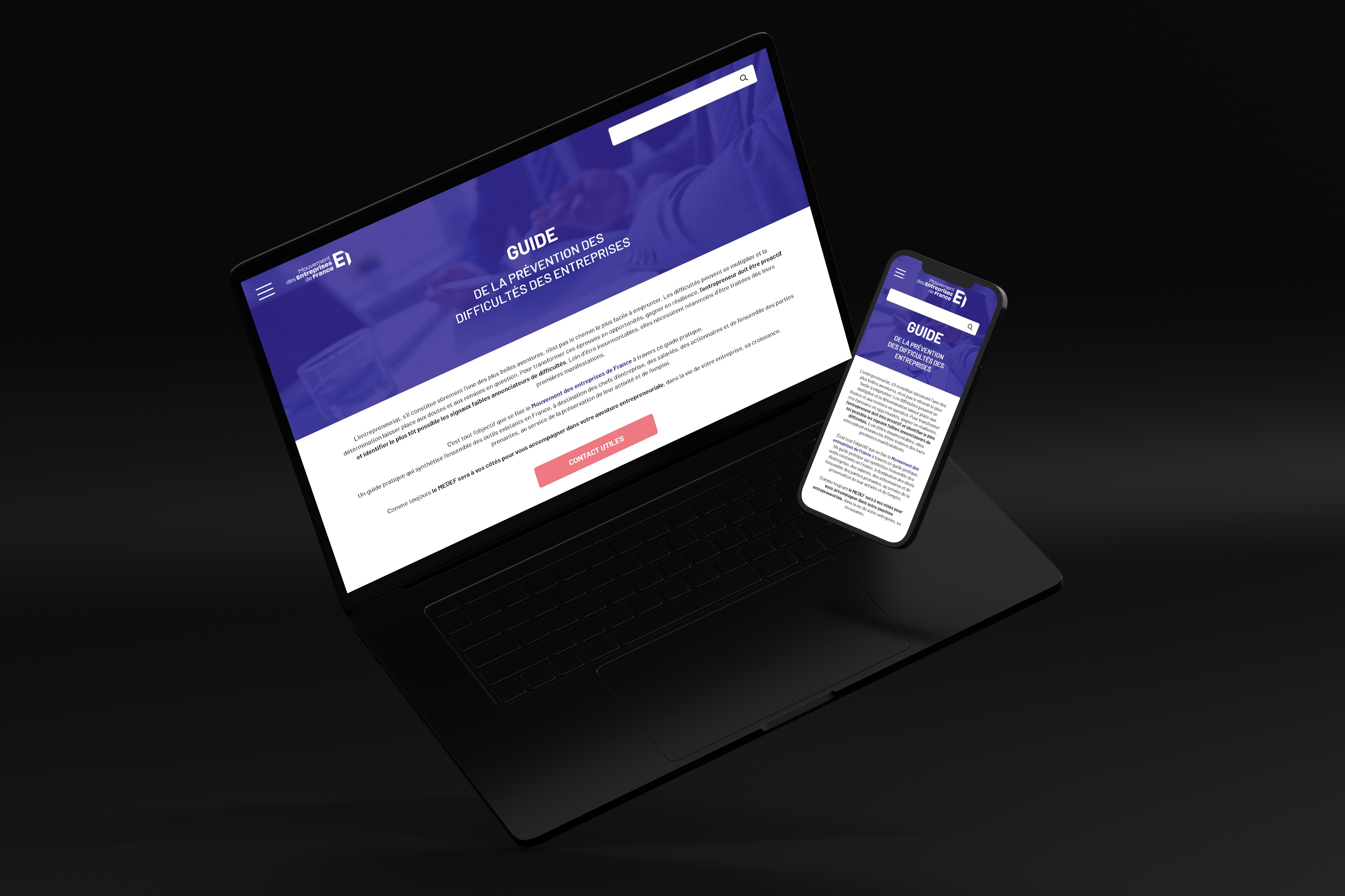 Illustration du projet Site pratique pour la prévention des difficultés des entreprises
