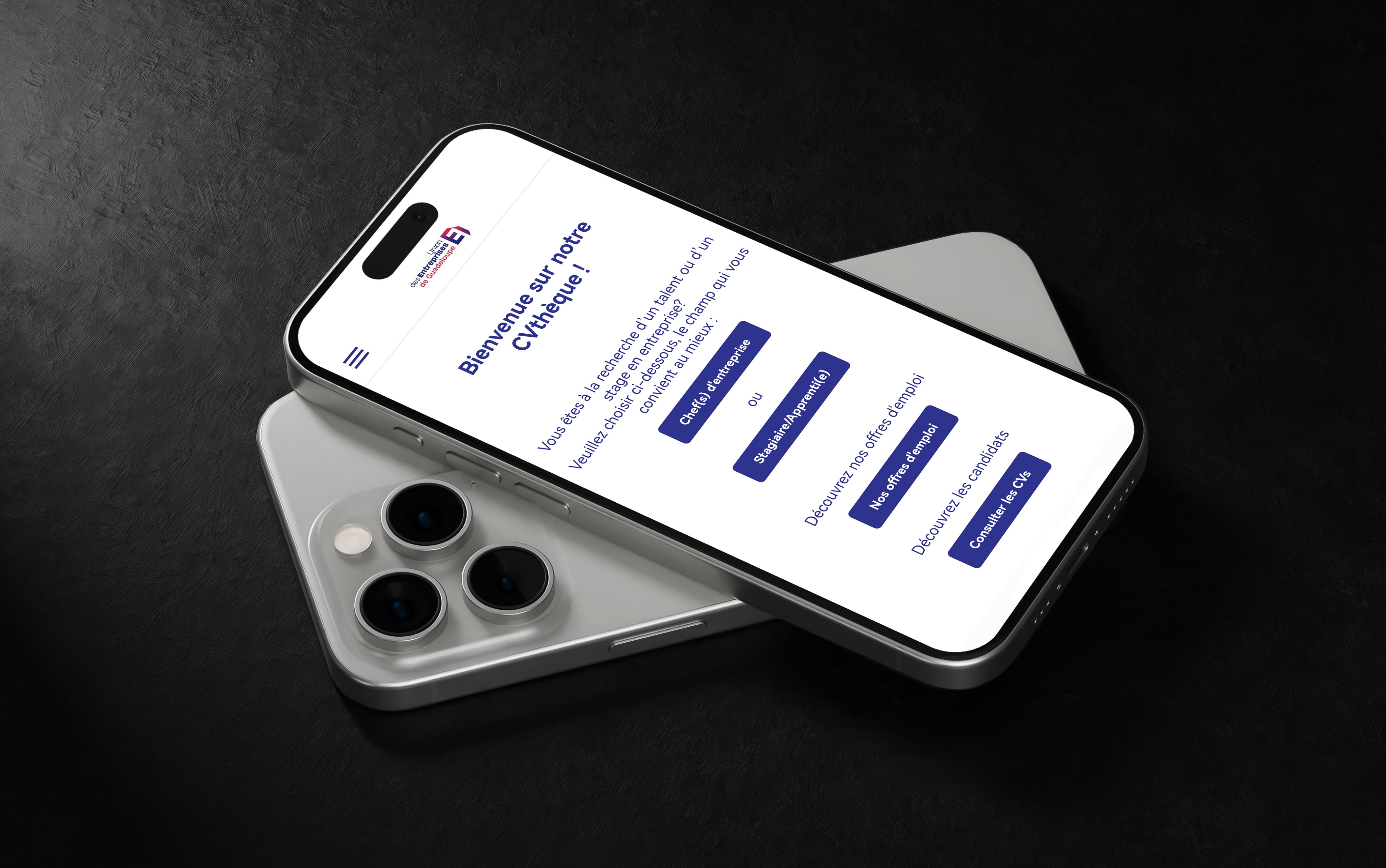 Illustration du projet CVThèque