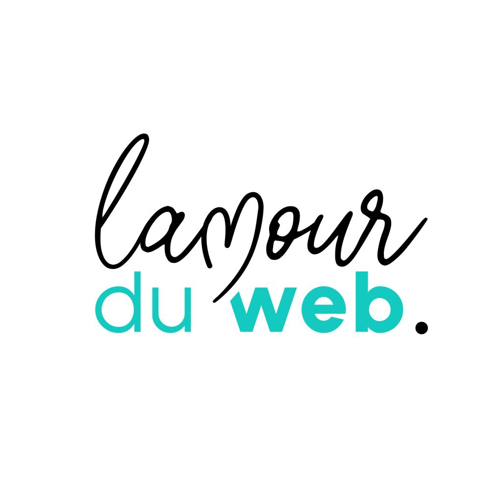 Logo agence Lamour du web