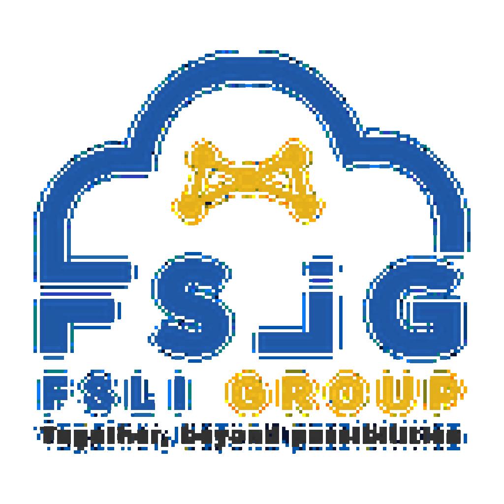Logo agence FSLI GROUP