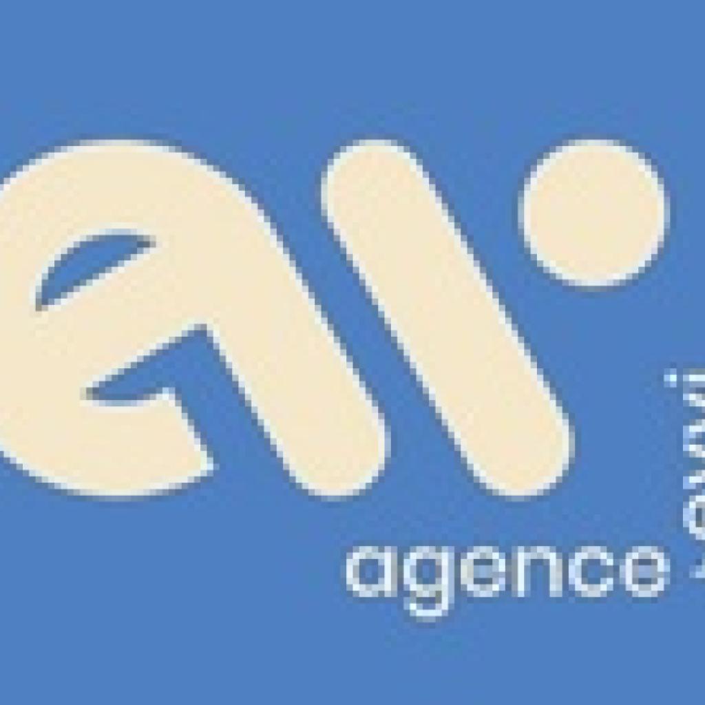 Logo agence Agence Web Evvi