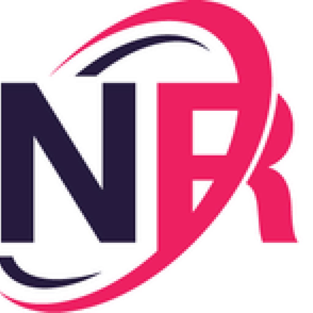 Logo agence NR WEB SERVICES