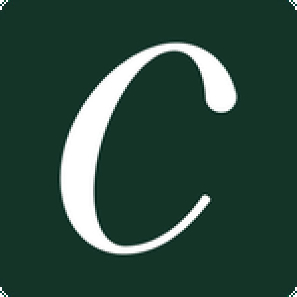 Logo agence Cammi Studio