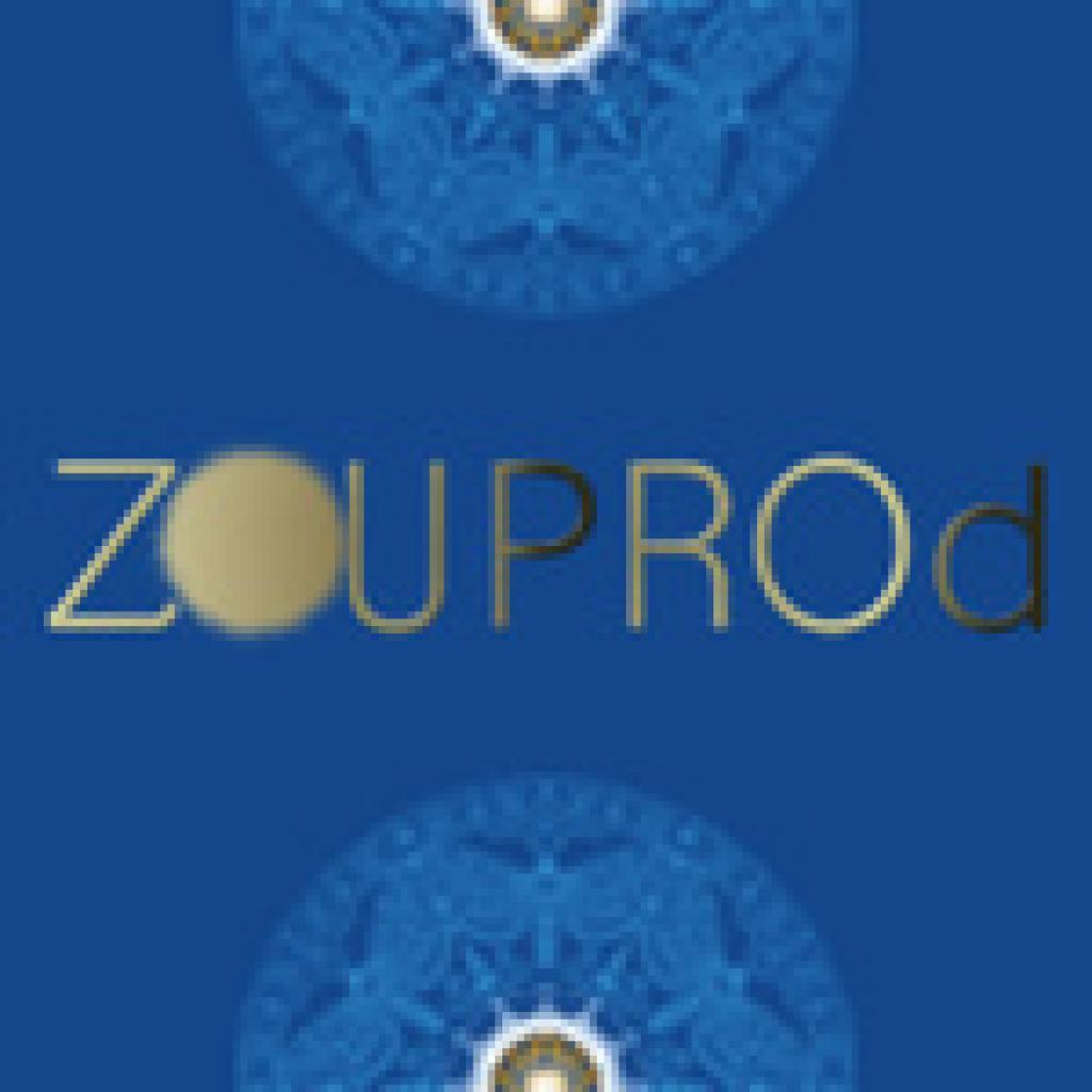 Logo agence zouprod