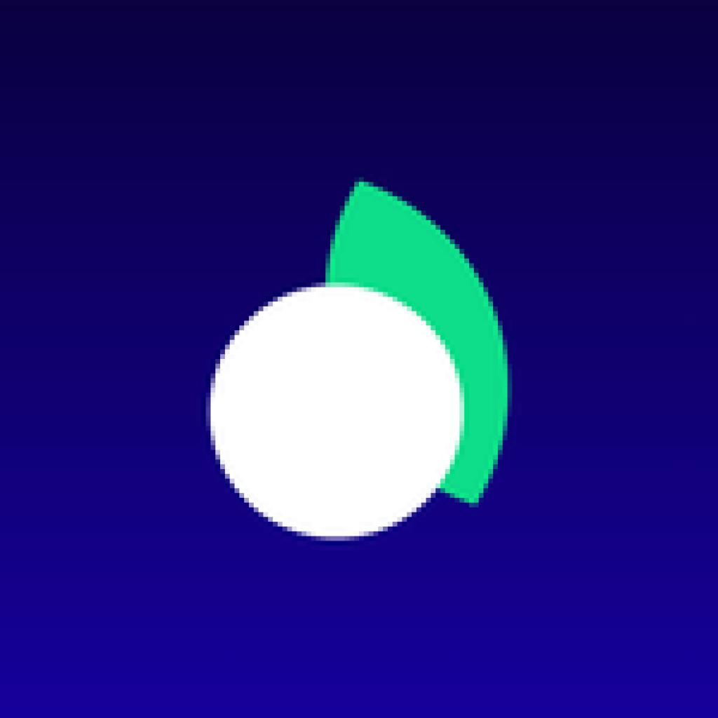 Logo agence Native Conseil