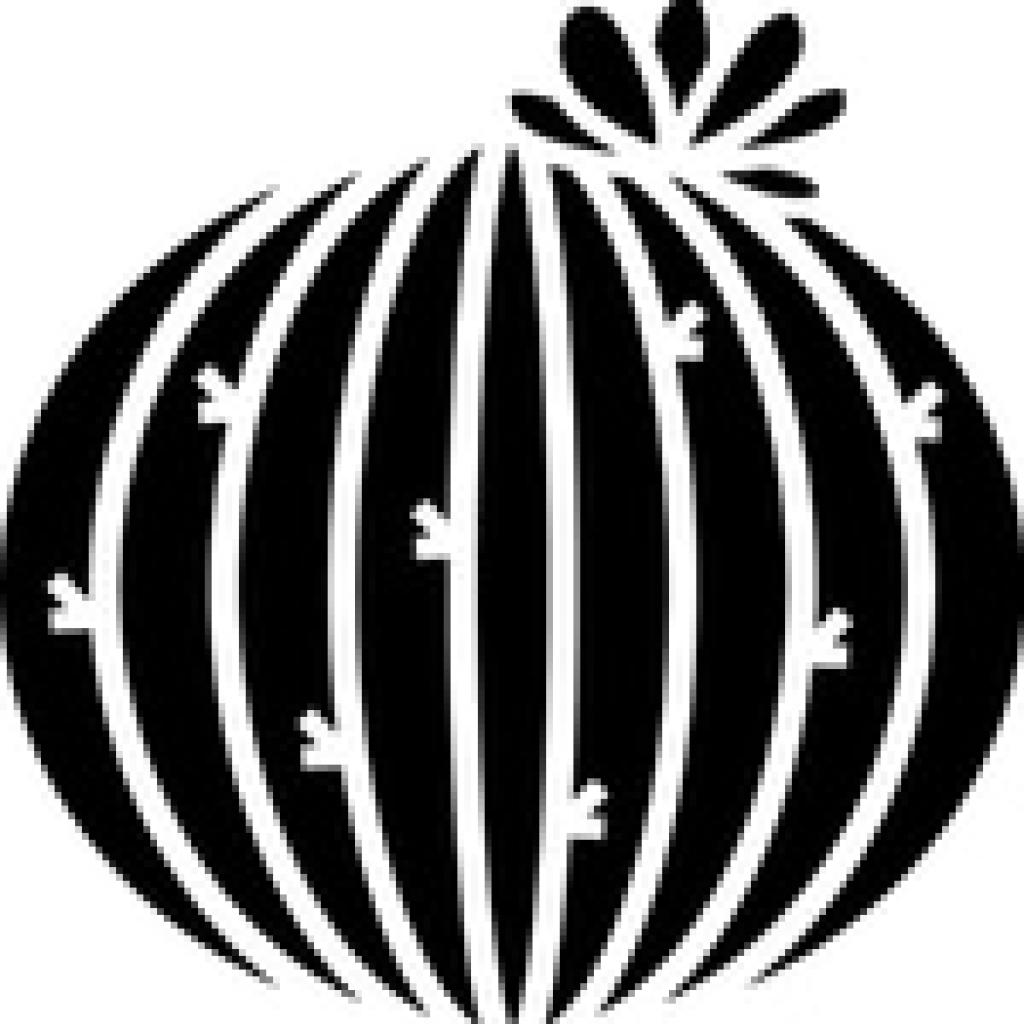 Logo agence Agence OROYA