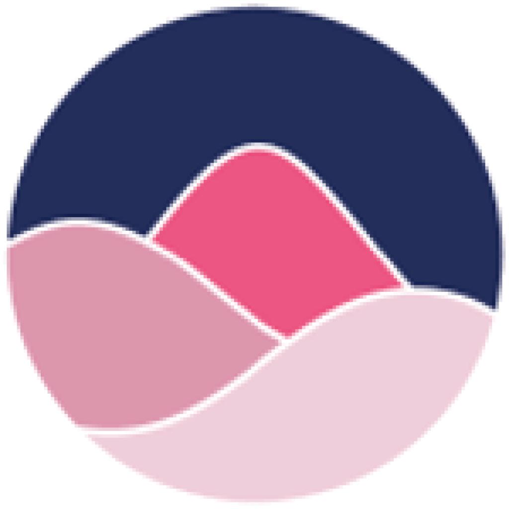 Logo agence Thomas Viennet - Consultant SEO