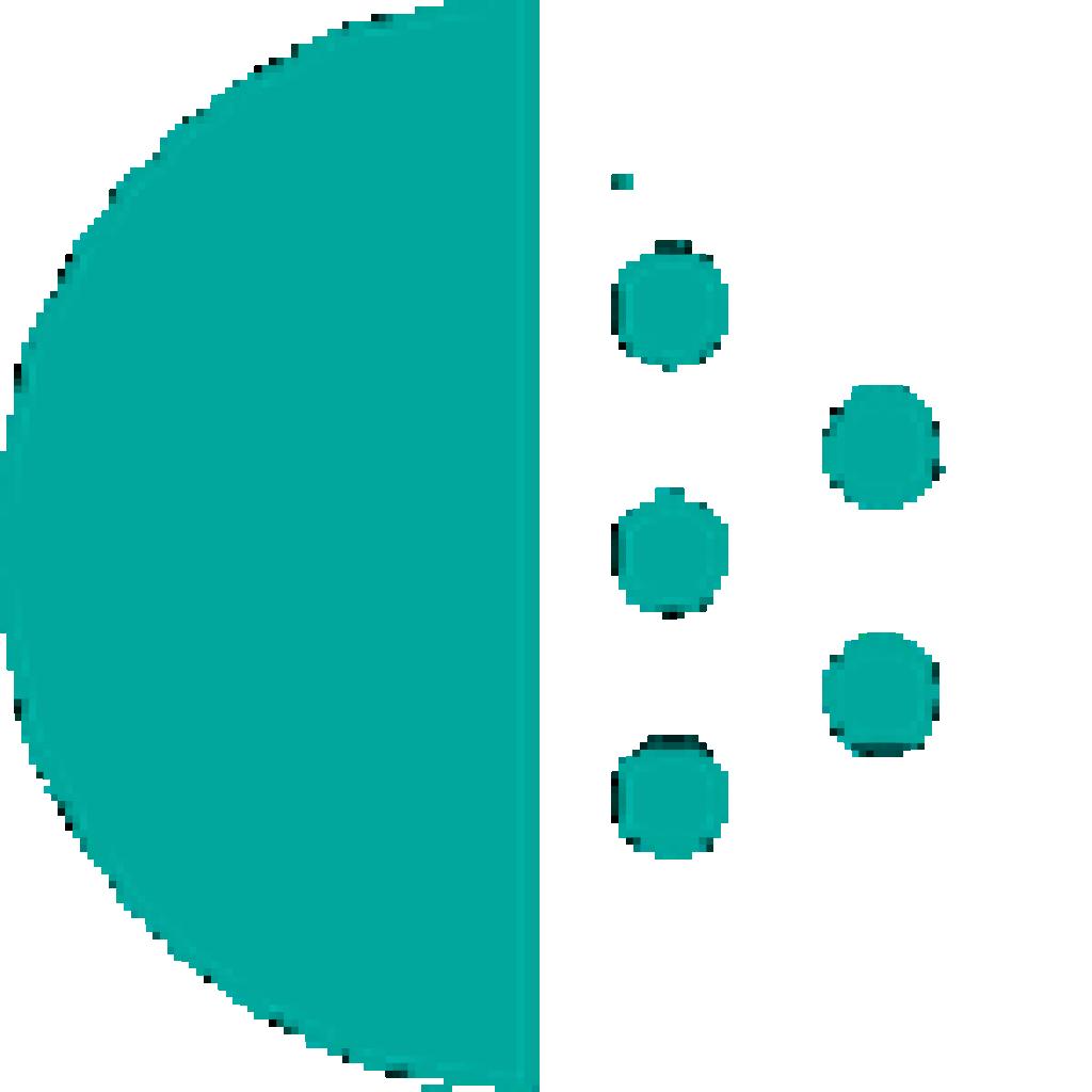 Logo agence Christopher Alexandre Consultant Référencement SEO Site Internet Toulouse