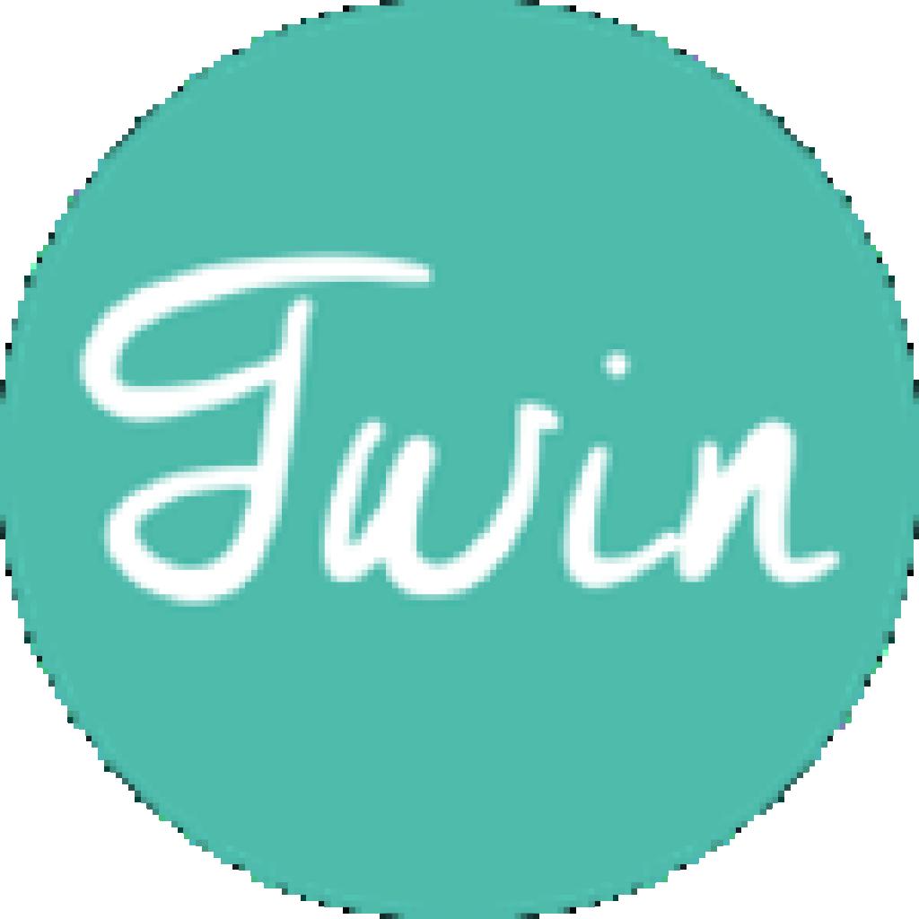 Logo agence Agence Twin, Conseils en référencement naturel (SEO) et Rédaction de contenus