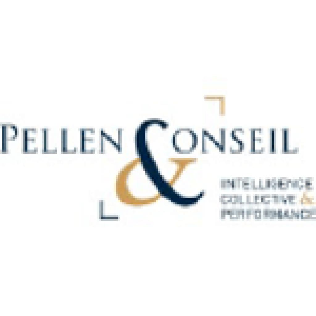 Logo agence Pellen Conseil