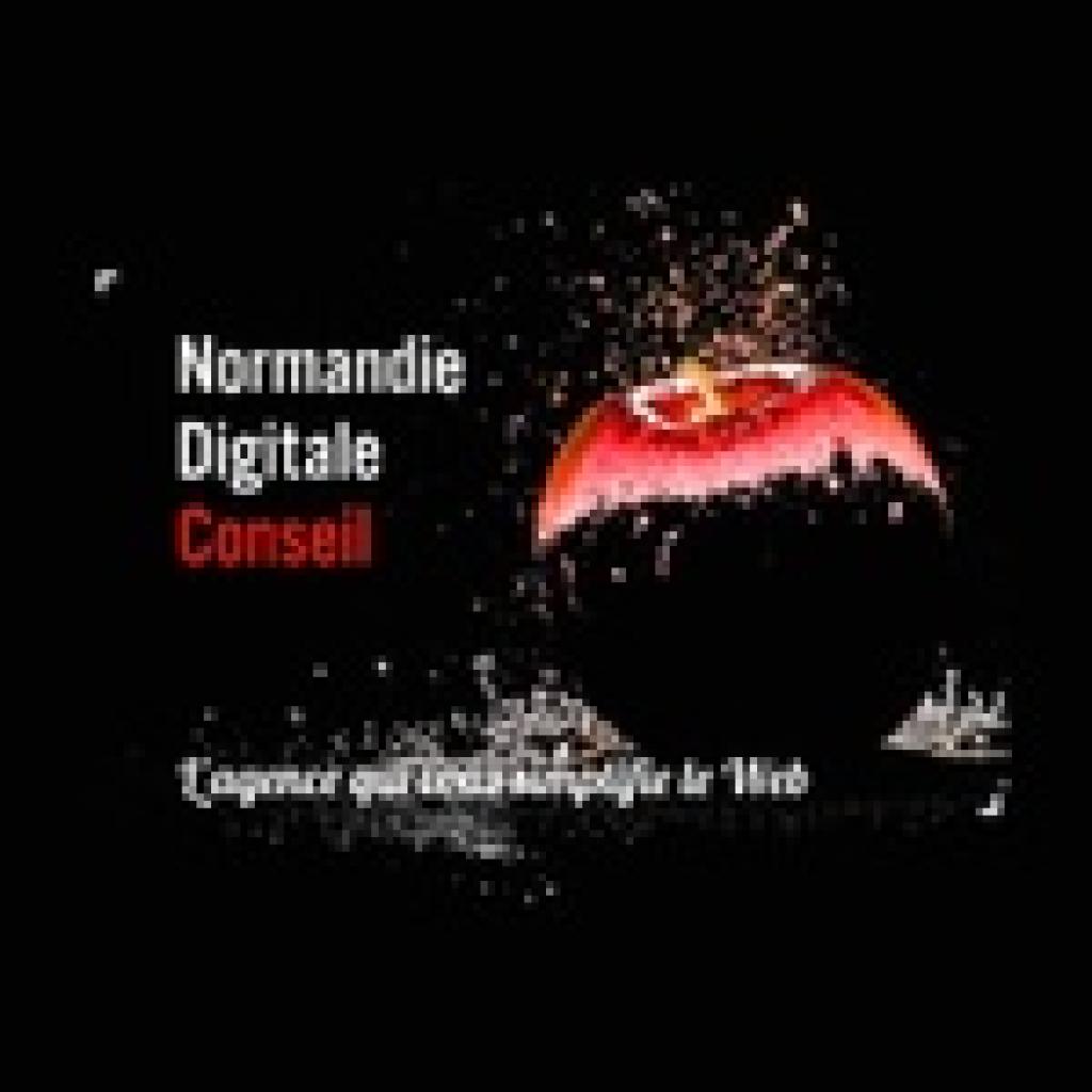 Logo agence Normandie Digitale Conseil