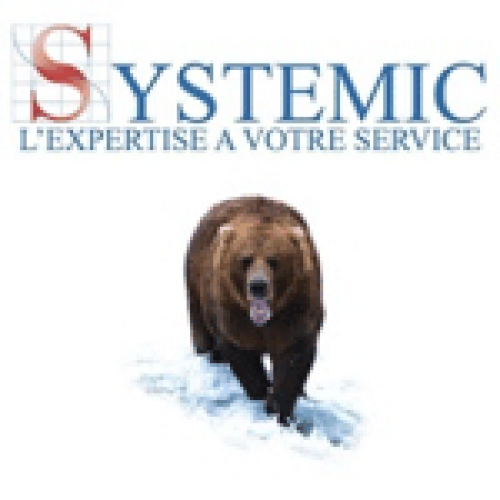 Logo agence Systemic