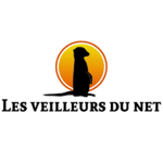 Logo agence Les Veilleurs Du Net