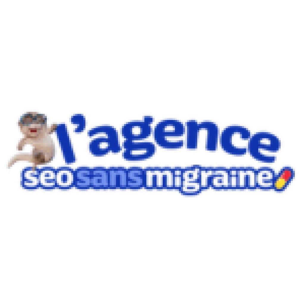 Logo agence Seo Sans Migraine 💊