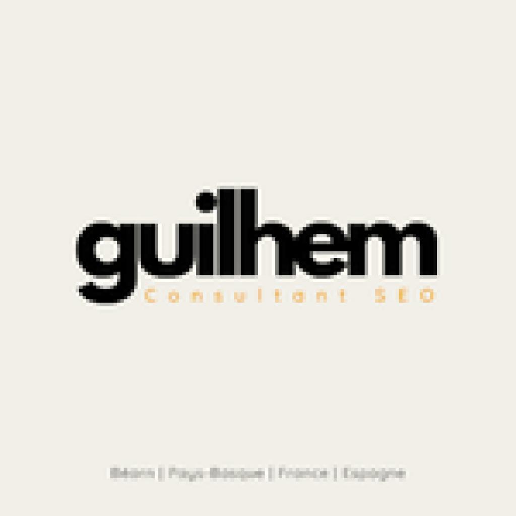 Logo agence Guilhem ARREGLE | Consultant SEO local