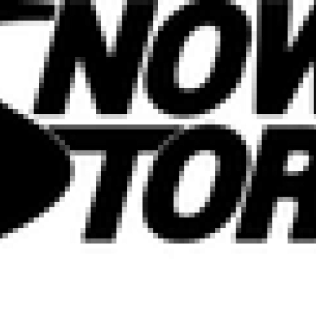 Logo agence Snow-Stories