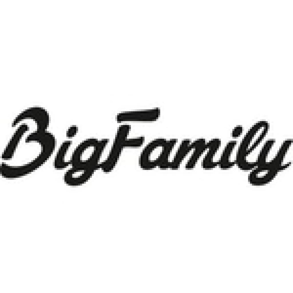 Logo agence Big Family