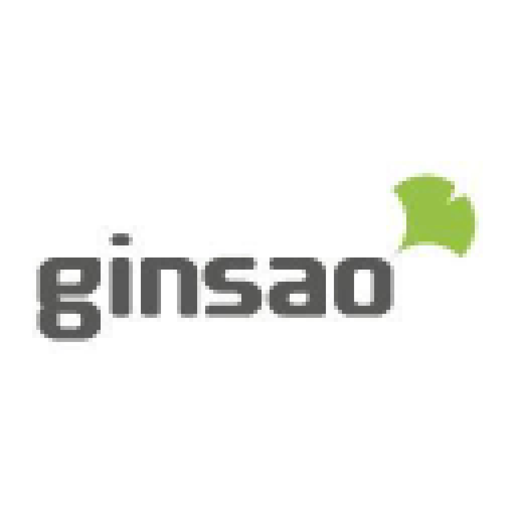 Logo agence Ginsao