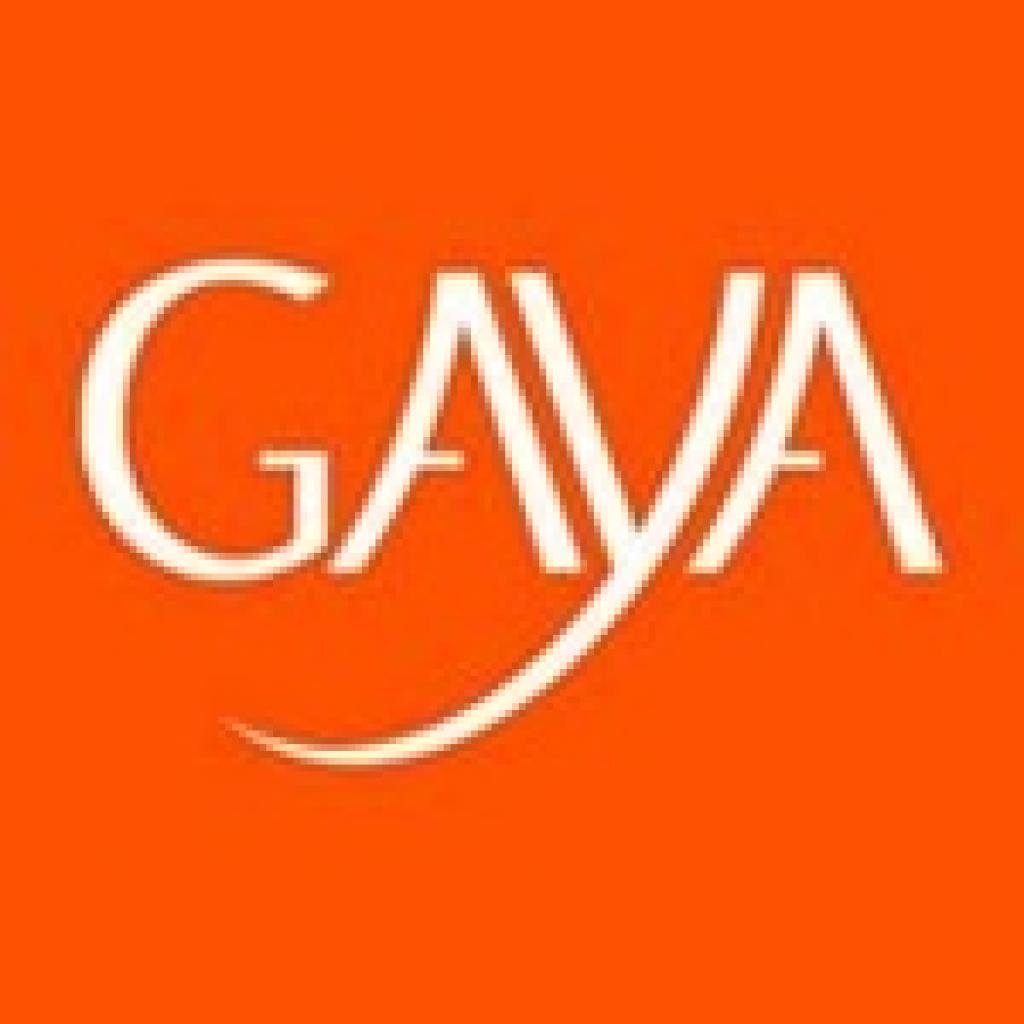 Logo agence Gaya - la Nouvelle Agence