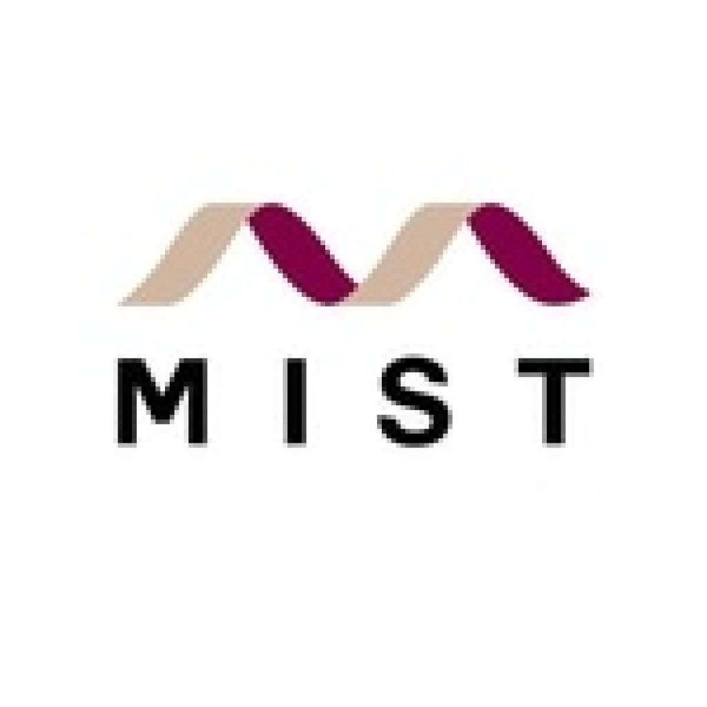 Logo agence Mist Postproduction