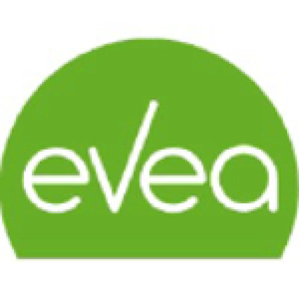 Logo agence EVEA Conseil