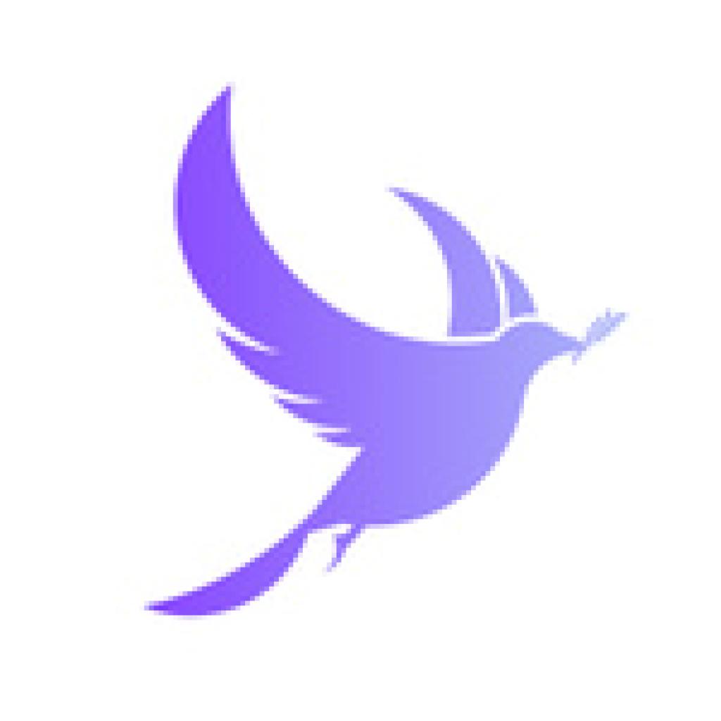 Logo agence VALOARE - Agence Site Web & Branding sur-mesure