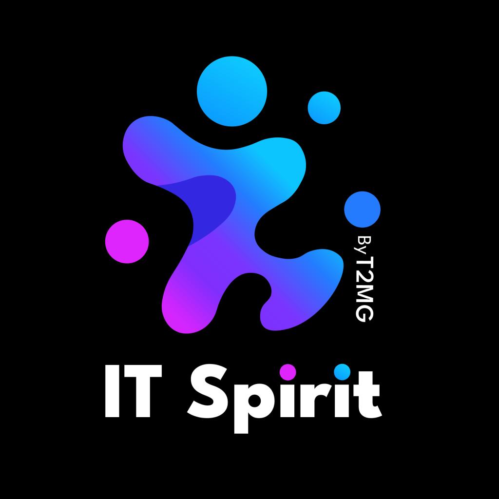 Logo agence It-Spirit