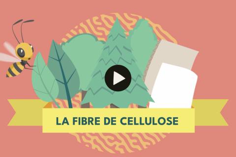 Illustration du projet