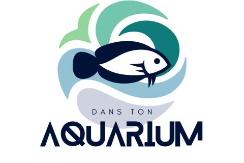 Illustration du projet