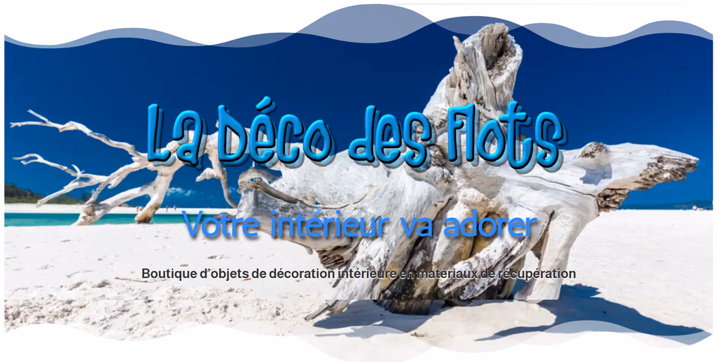 Illustration du projet